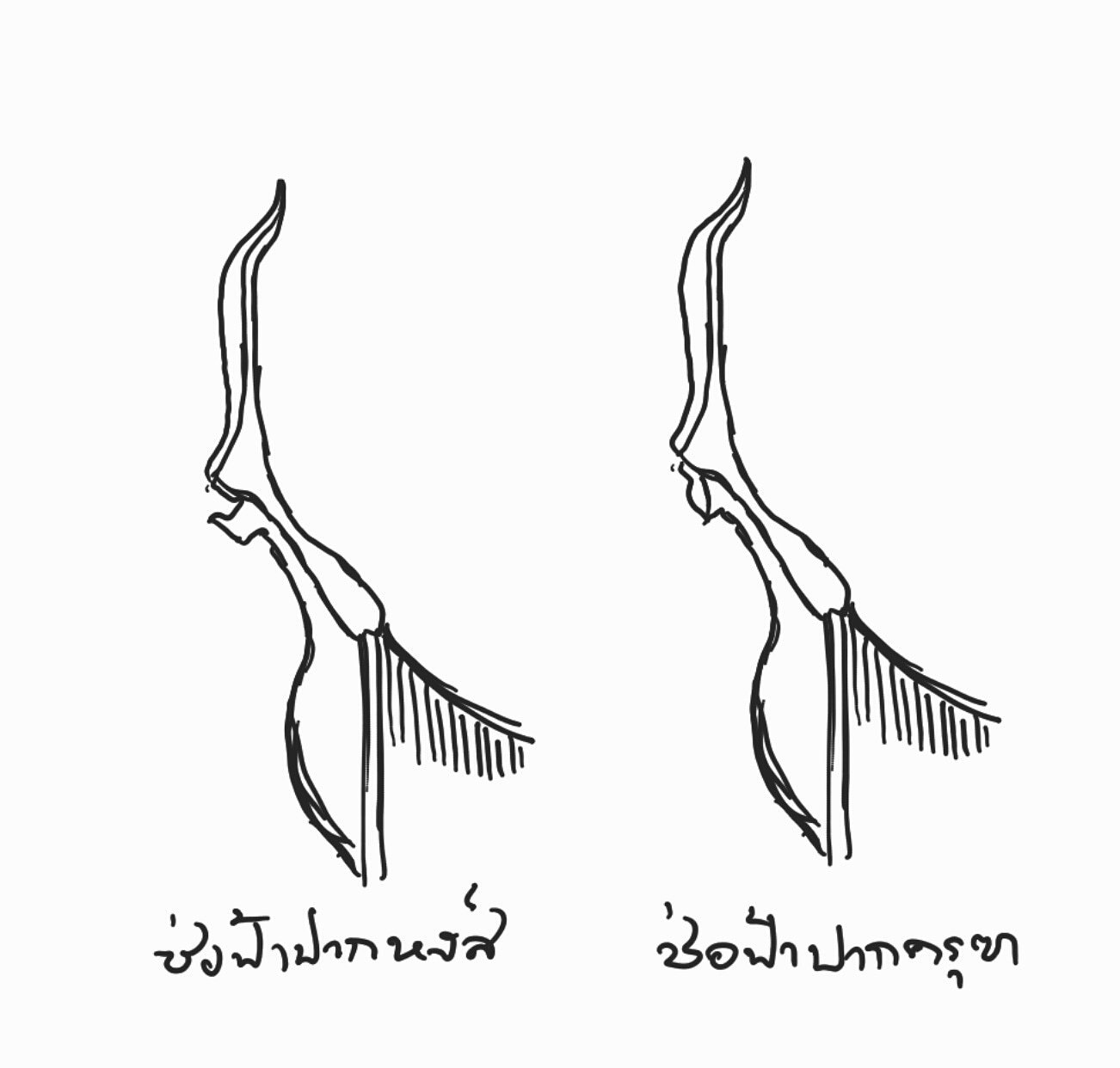 ช่อฟ้า 2 แบบหลัก: ซ้าย ปากหงส์ ขวา ปากครุฑ